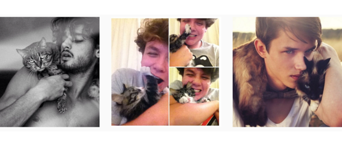 cute boys with cats